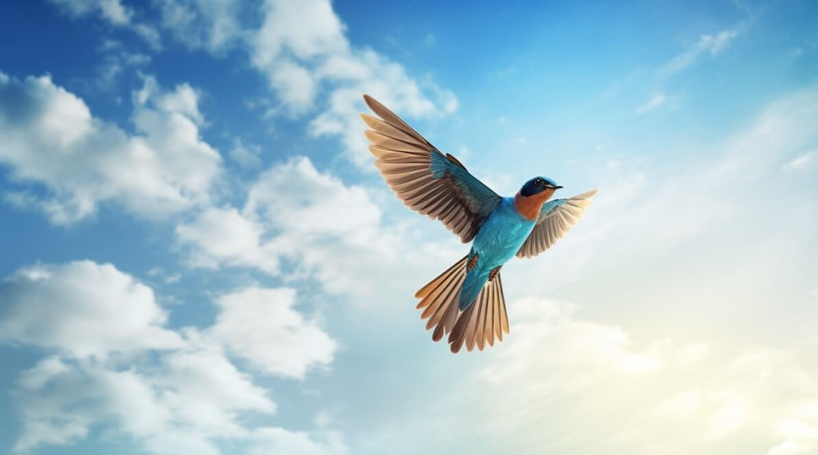 Screenshot_30